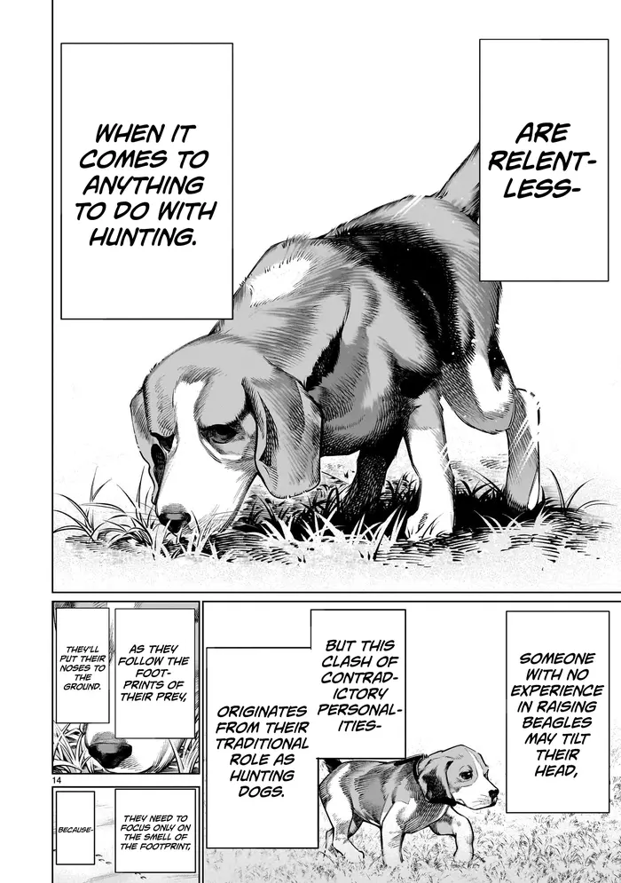 Killing Bites Chapter 114 image 13_optimized